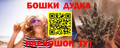 ГАЛЛЮЦИНОГЕННЫЕ ГРИБЫ Малгобек