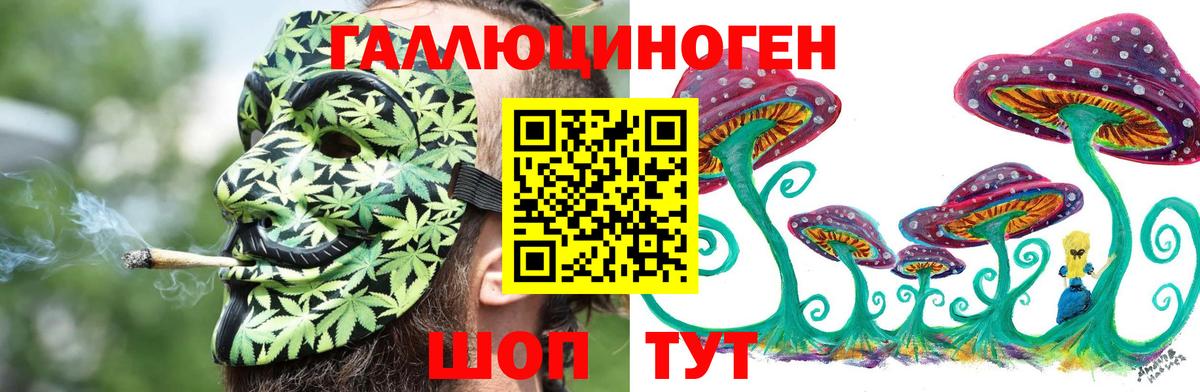 Галлюциногенные грибы MAGIC MUSHROOMS Иваново