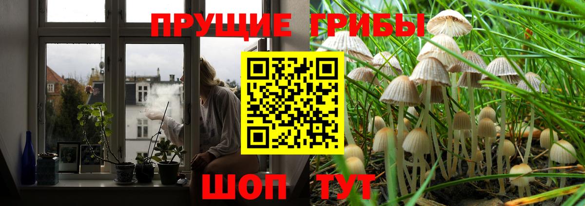 Галлюциногенные грибы GOLDEN TEACHER  Вход с VPN  Псилоцибиновые грибы прущие грибы  Иваново 